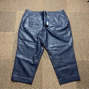 Rachel Comey x Target Faux Leather Pants 24W/26W